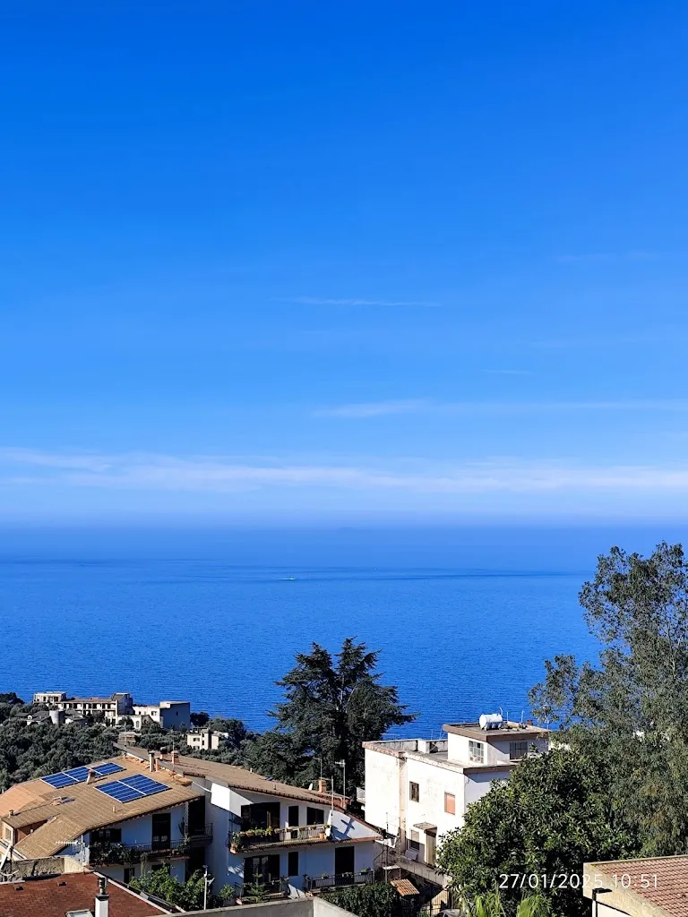 Palmi_Palmi_slider_image_3