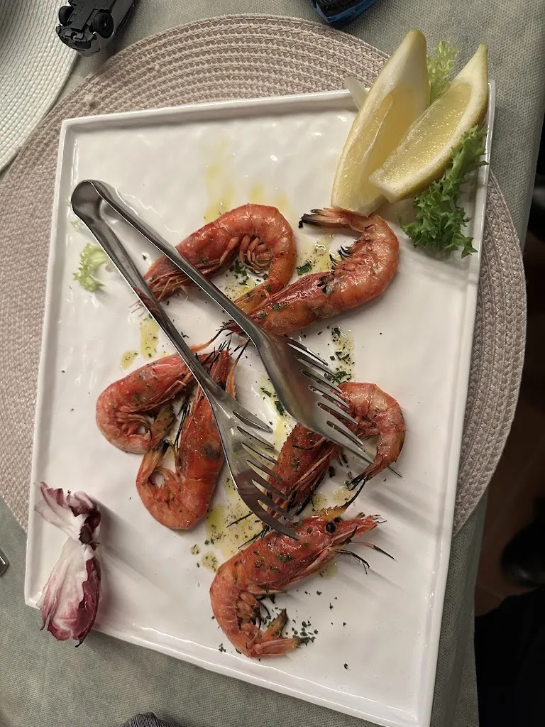 Gril P._La Rosa dei Venti_Palmi_review