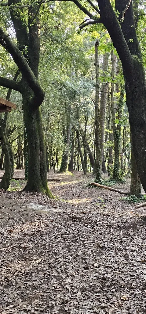 Ristorante Pizzeria Sant'Elia_Palmi_slider_image_2