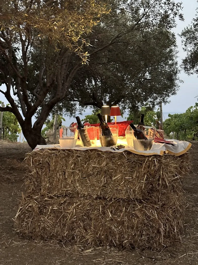 Ros Savi_Azienda Agricola Biologica Casa Ponziana | Cantina e Cucina_Riace_review