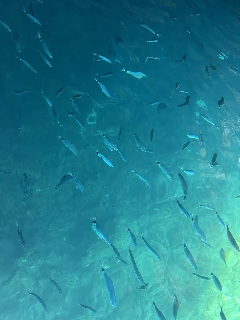 Sara Cattaneo_Birima Glamour Beach_Praia a Mare_review