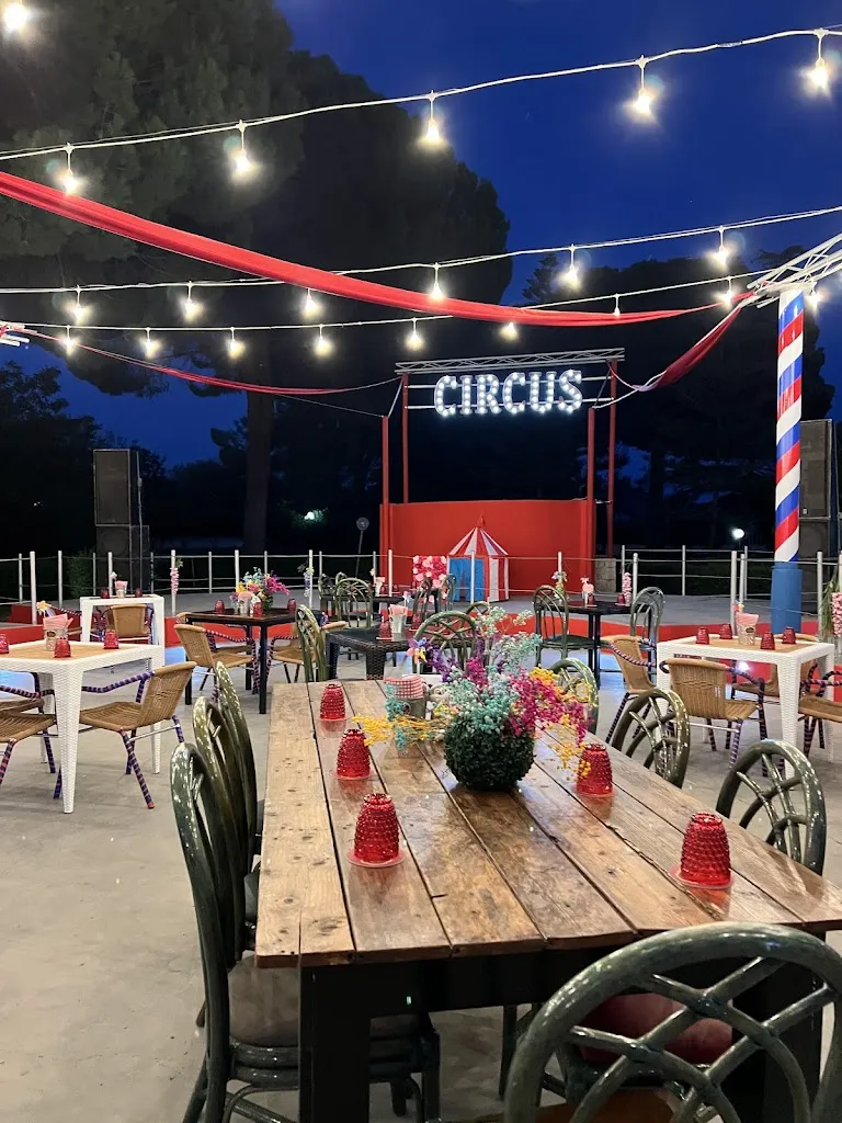 Circus_Rocca di Neto_slider_image_3