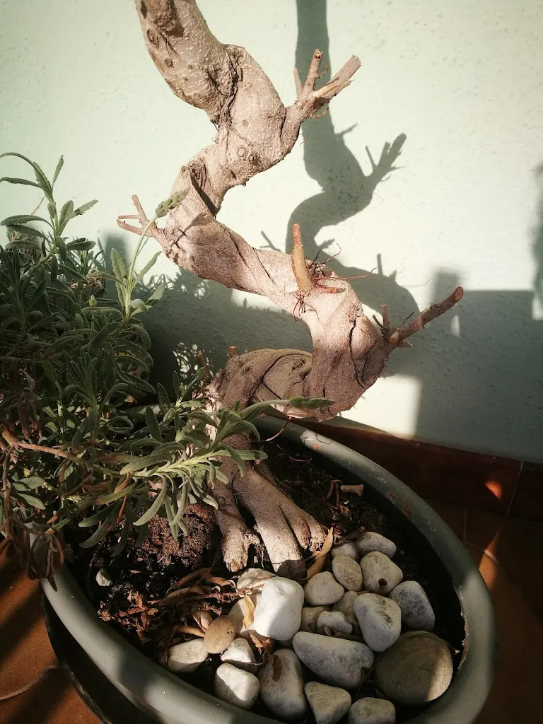 Menu_Ristorante L' Antica Rocca di Neto_Rocca di Neto_image_1