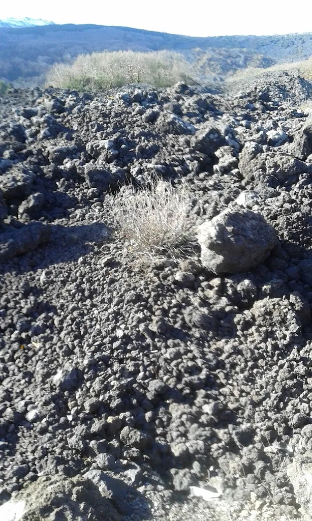 Pizzeria Metropoli'S_Rosarno_slider_image_3