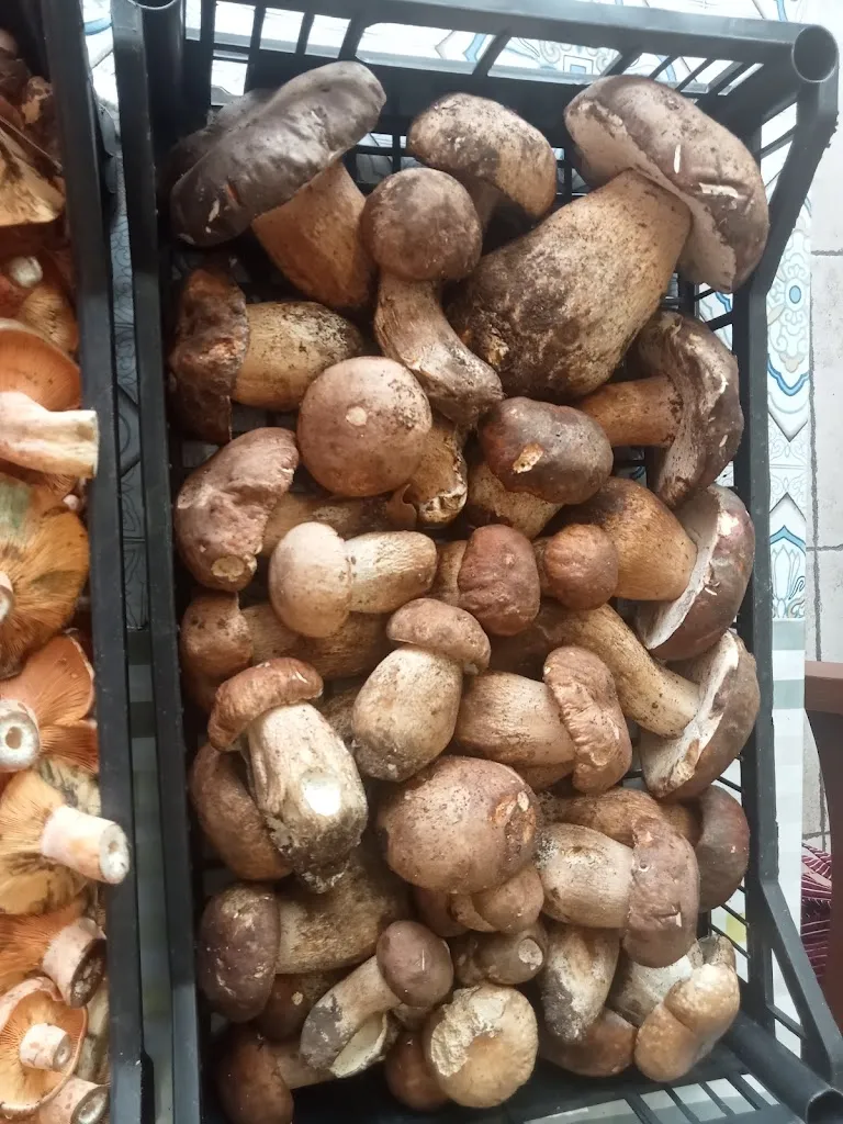 Menu_Ristorante Da Tonino_San Demetrio Corone_image_2