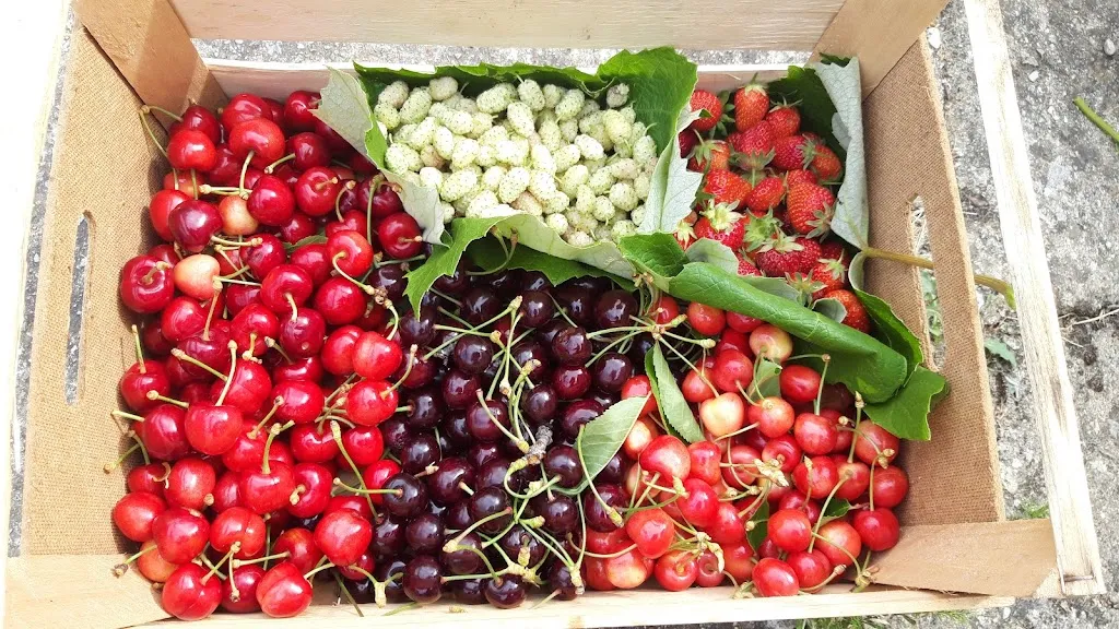 Agriturismo La Locanda del Greco_San Fili_slider_image_2