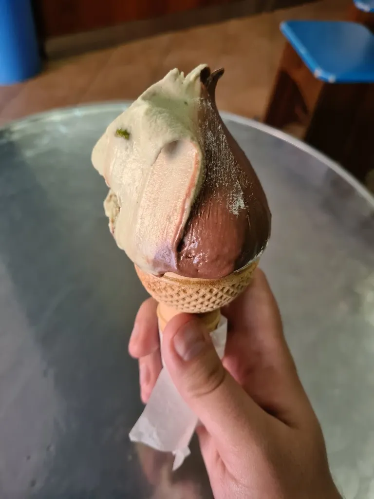 Logan Saunders_Bar Musa_San Giorgio Morgeto_review