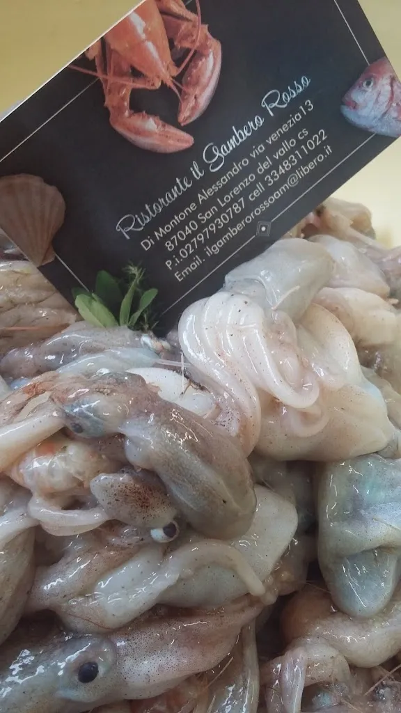 Menu_Ristorante Il Gambero Rosso_San Lorenzo del Vallo_image_1