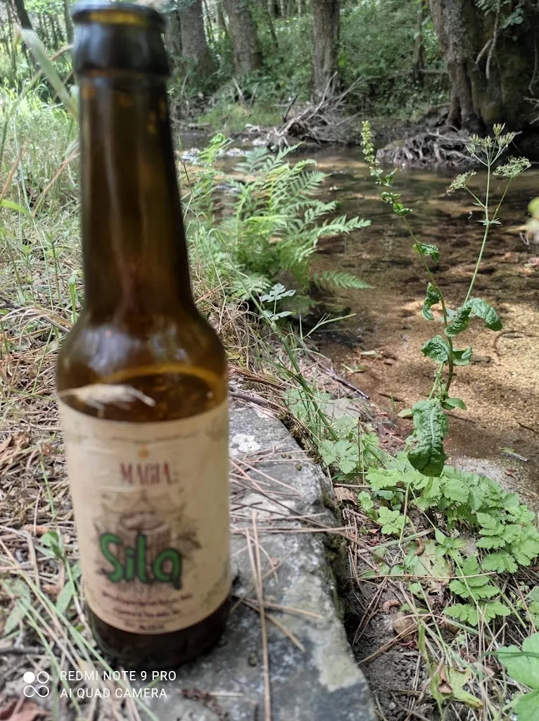 Menu_Birrificio Magia_San Giovanni in Fiore_image_8