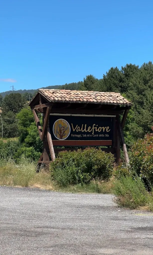 Calabria Food Tour_RISTORANTE GRIGLIERIA VALLEFIORE_San Giovanni in Fiore_review