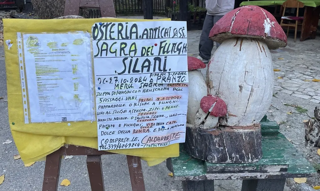 Menu_Antichi sapori silani_San Giovanni in Fiore_image_1