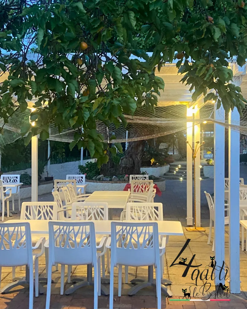 4 Gatti le Bistrot restaurant in San Nicola Arcella