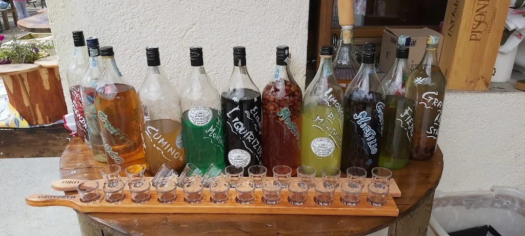 Menu_Malghetta Tognola / Malga Tognola_San Martino_image_7