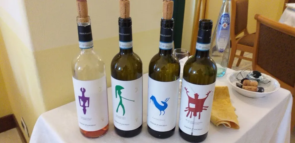 Maria Pellegrini_Casa D'Angelo_Fara Filiorum Petri_review