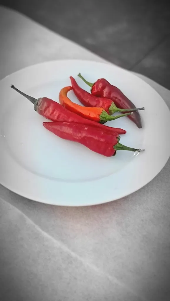 Menu_Ristorante Pizzeria Insonnia_San Sosti_image_9