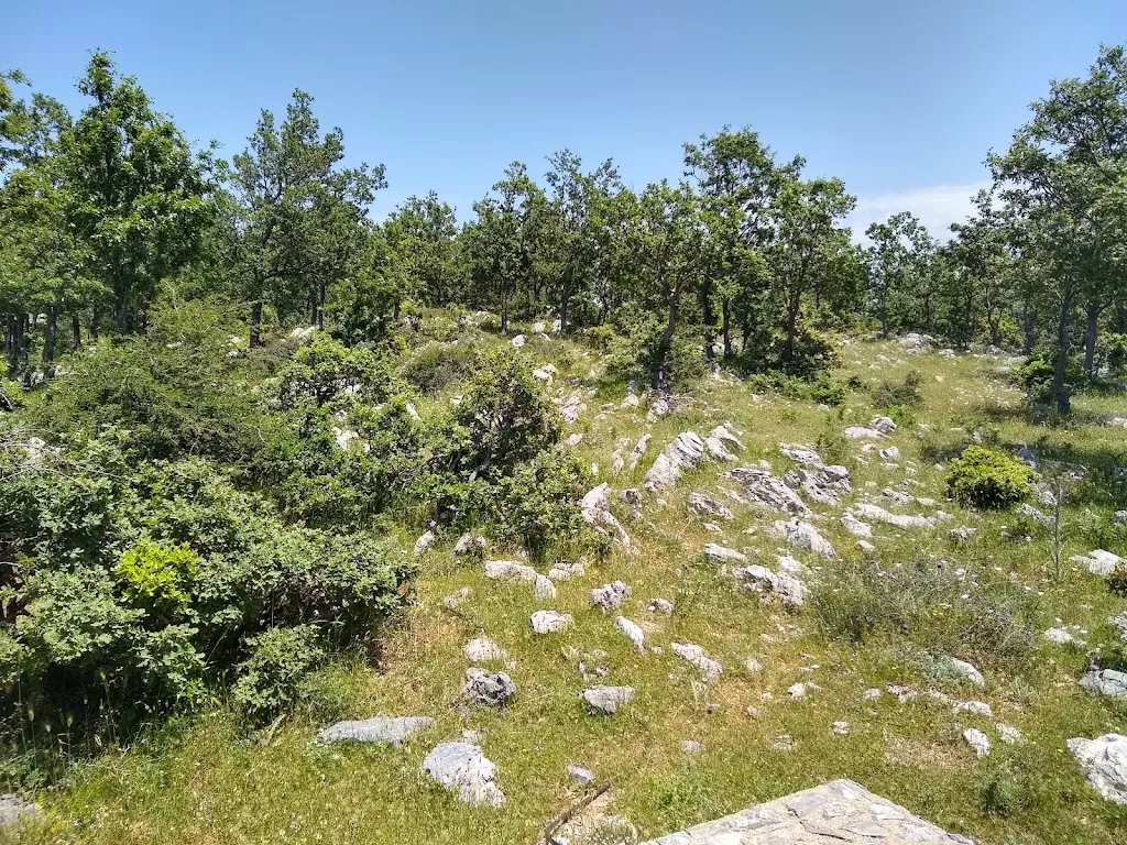 Artemisia restaurant in San Sosti