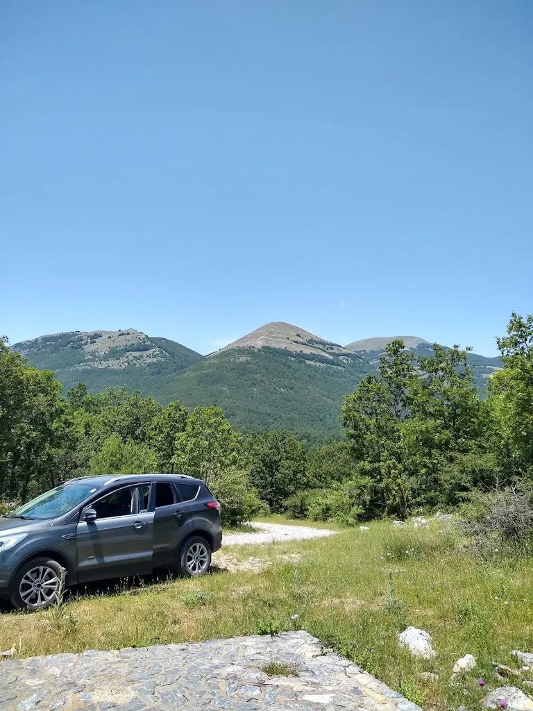 Artemisia_San Sosti_slider_image_2