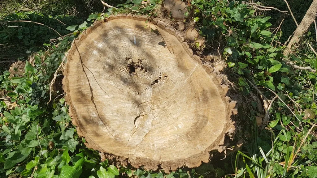 Menu_Bar Ristorante Del Lago_Fara Filiorum Petri_image_7