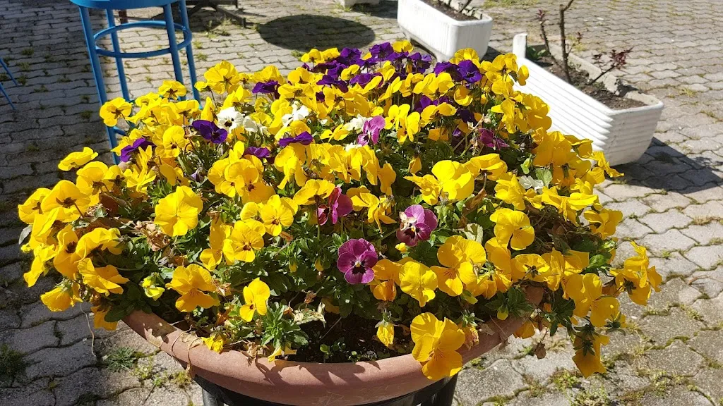 Bar Ristorante Del Lago_Fara Filiorum Petri_slider_image_2