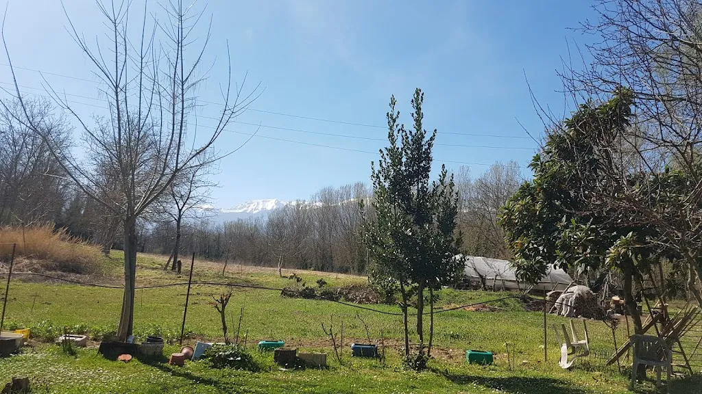 Bar Ristorante Del Lago_Fara Filiorum Petri_slider_image_3