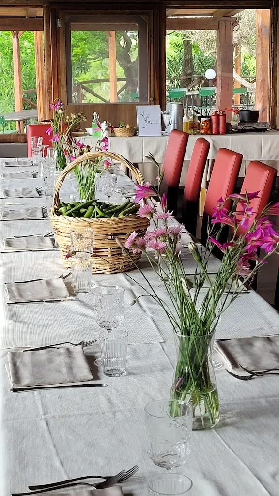 Vigreen Trattoria Rurale_Santa Domenica Talao_slider_image_3