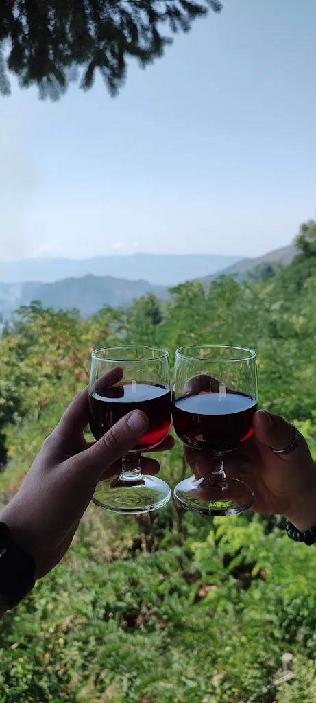 Irene St. A._SCHICCIO_Santo Stefano in Aspromonte_review