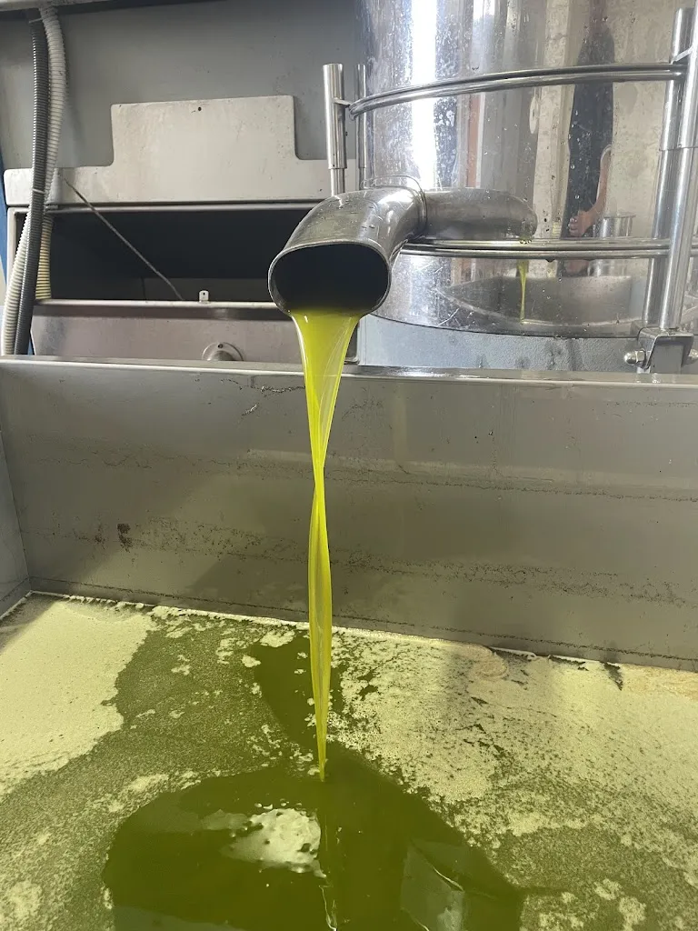 Menu_Ristorante Pizzeria La Collina_Sartano_immagine_5