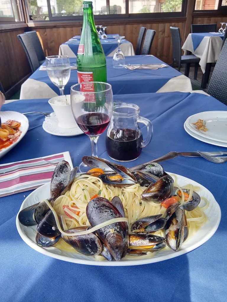 Fred Me_Miamì's Pub di Francesco Durante_Santa Maria del Cedro_recensione