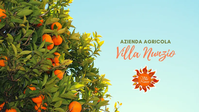 Ristorante Villa Nunzio_Seminara_slider_image_1