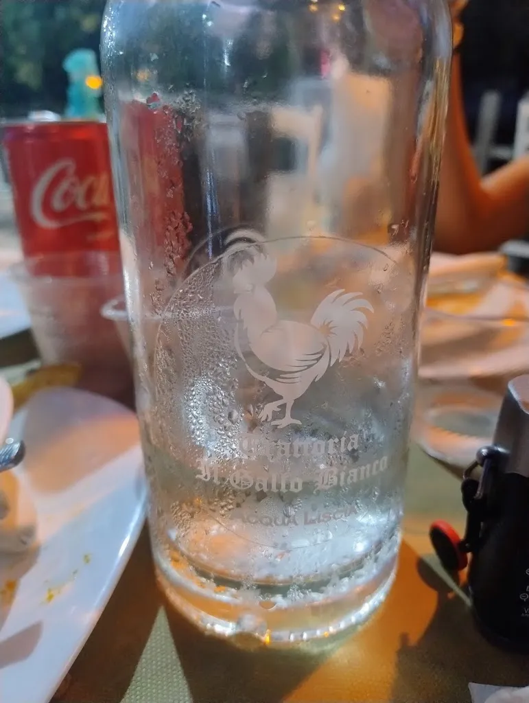 John Minghella_Trattoria Il Gallo Bianco_Scalea_review