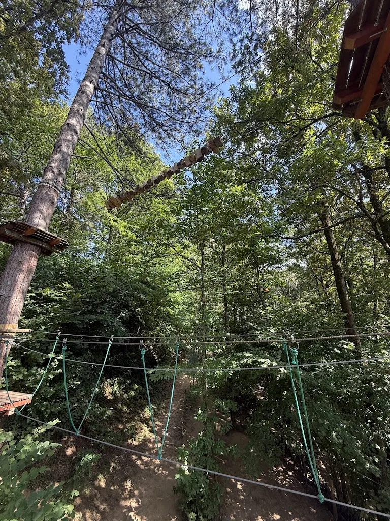 Maria Domenica Galati_Parco Avventura Adrenalina Verde_Serra San Bruno_review