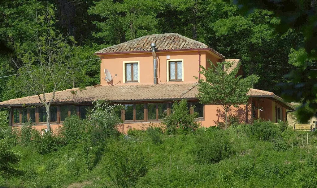 Parco Avventura Adrenalina Verde_Serra San Bruno_slider_image_1