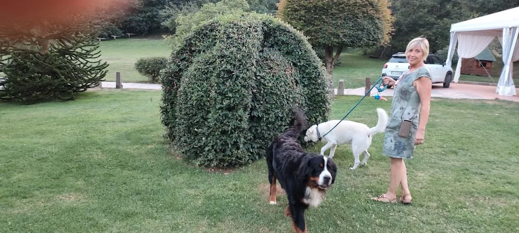 Massimo Calandra_Azienda Agrituristica Roseto_Serra San Bruno_review