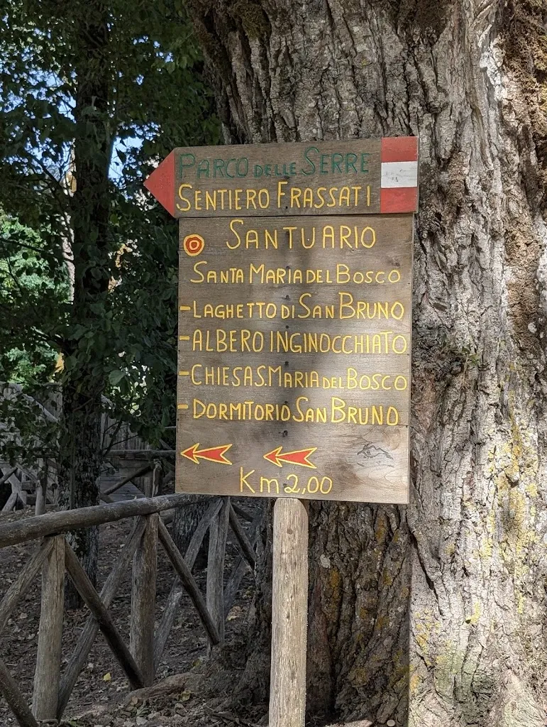 Mary Ehr_Carthusian monastery of Serra San Bruno_Serra San Bruno_review