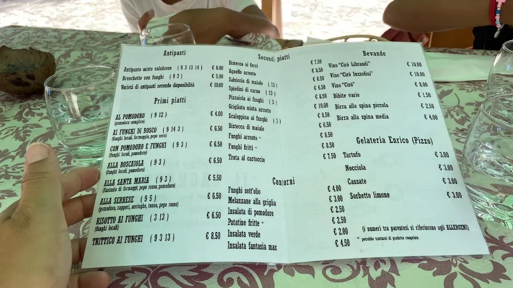 Menu_Ristorante Il Laghetto Di Angela Bruna De Raffele_Serra San Bruno_immagine_1