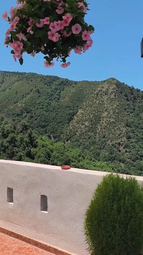 Ristorante da Michele_Scilla_slider_image_2