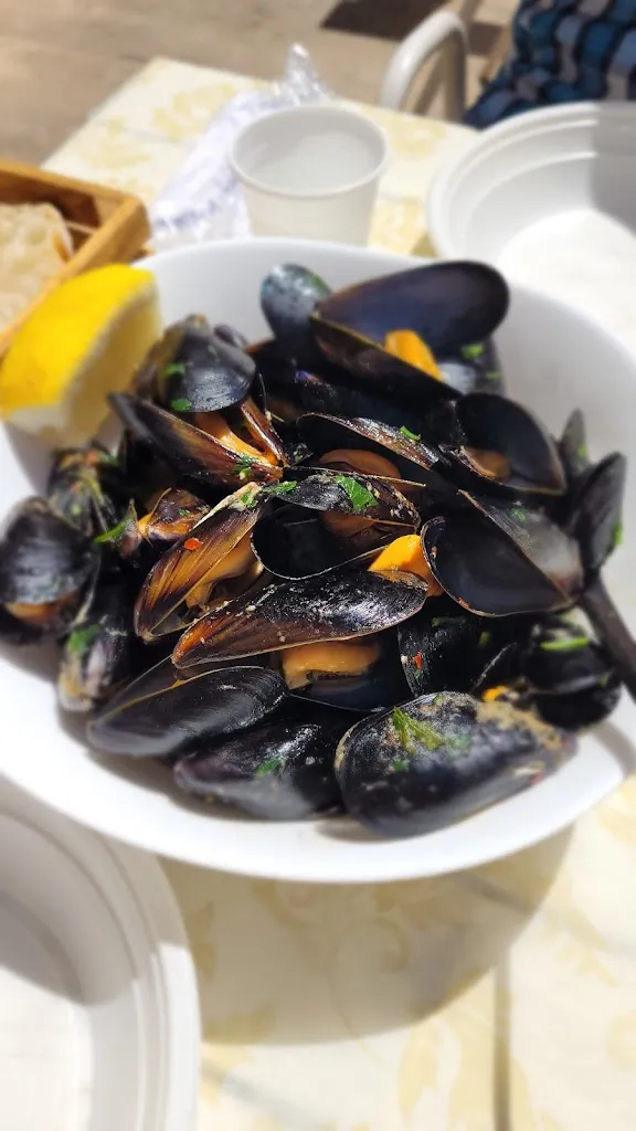 Beata Nawara_Street good_Scilla_review