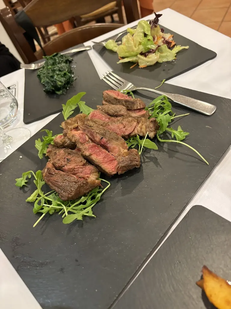 Erik_The Fox_Frisa_review