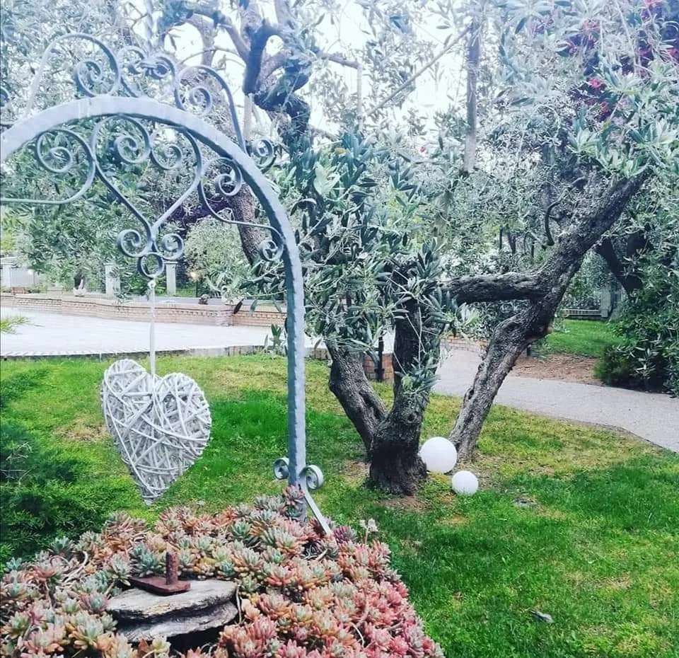 The Fox_Frisa_slider_image_3