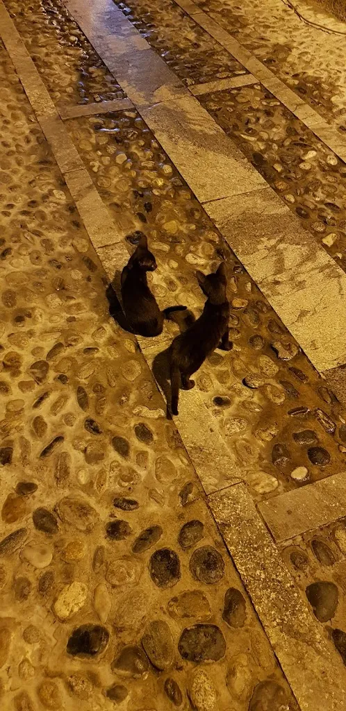 Menu_Civico 5 - #quellidelpaninocolpescespada_Scilla_image_9