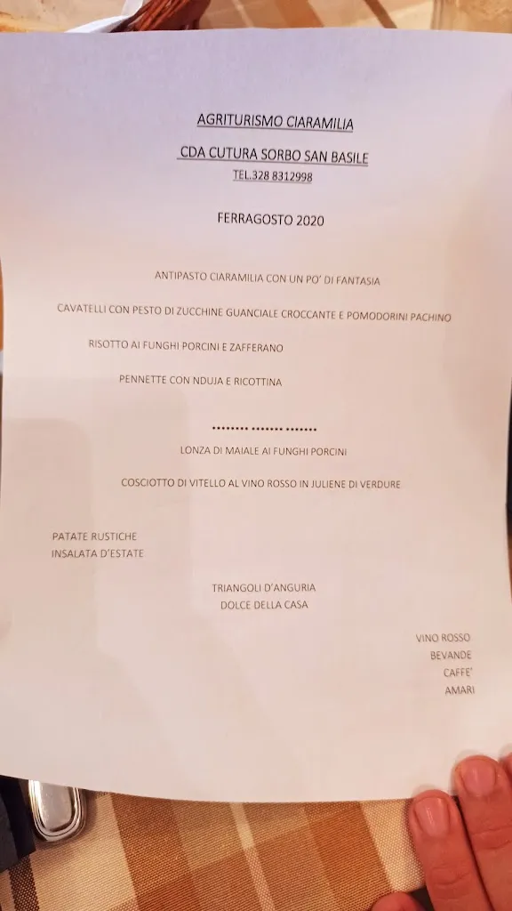Menu_Agriturismo Ciaramilia_Sorbo San Basile_immagine_1