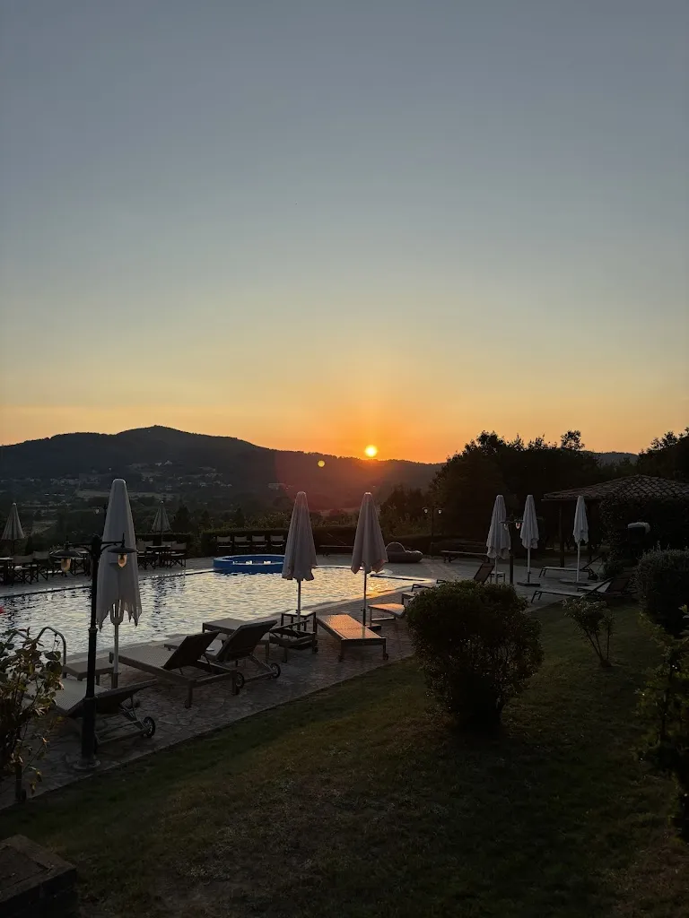 Anne de Vries_La Rosa Nel Bicchiere_Soveria Mannelli_review