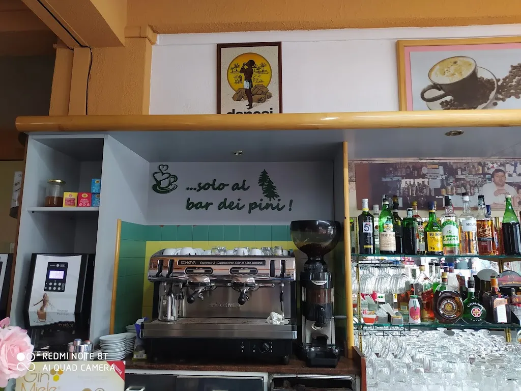 Bar Dei Pini di Angelo Palermo solo al bar dei pini restaurant in Soveria Mannelli