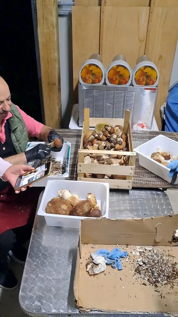 Oronzo Cosola_Fernando Pub_Spadola_review