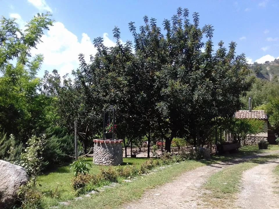 Azienda Agrituristica Agnellida_Soveria Simeri_slider_image_2