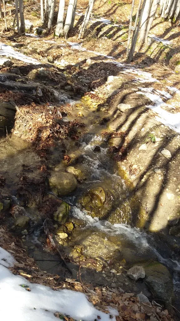 Menu_Laghetto_Gamberale_image_7