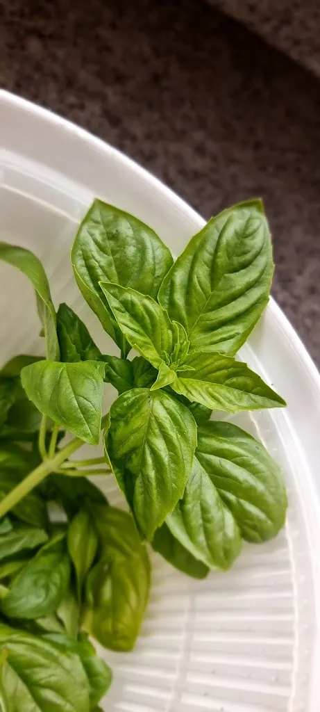 Menu_Pizzeria da Ottavio_Spezzano della Sila_image_2