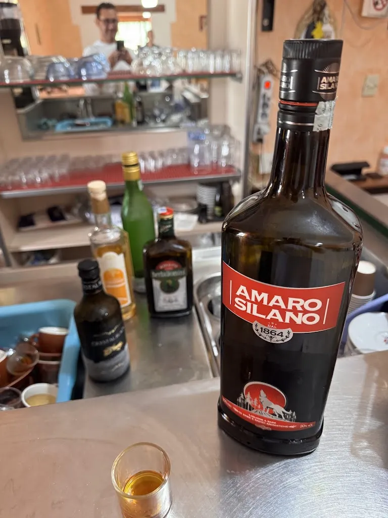 Dragos Ilie Galan_Gallo Rosso_Spezzano Albanese_recensione