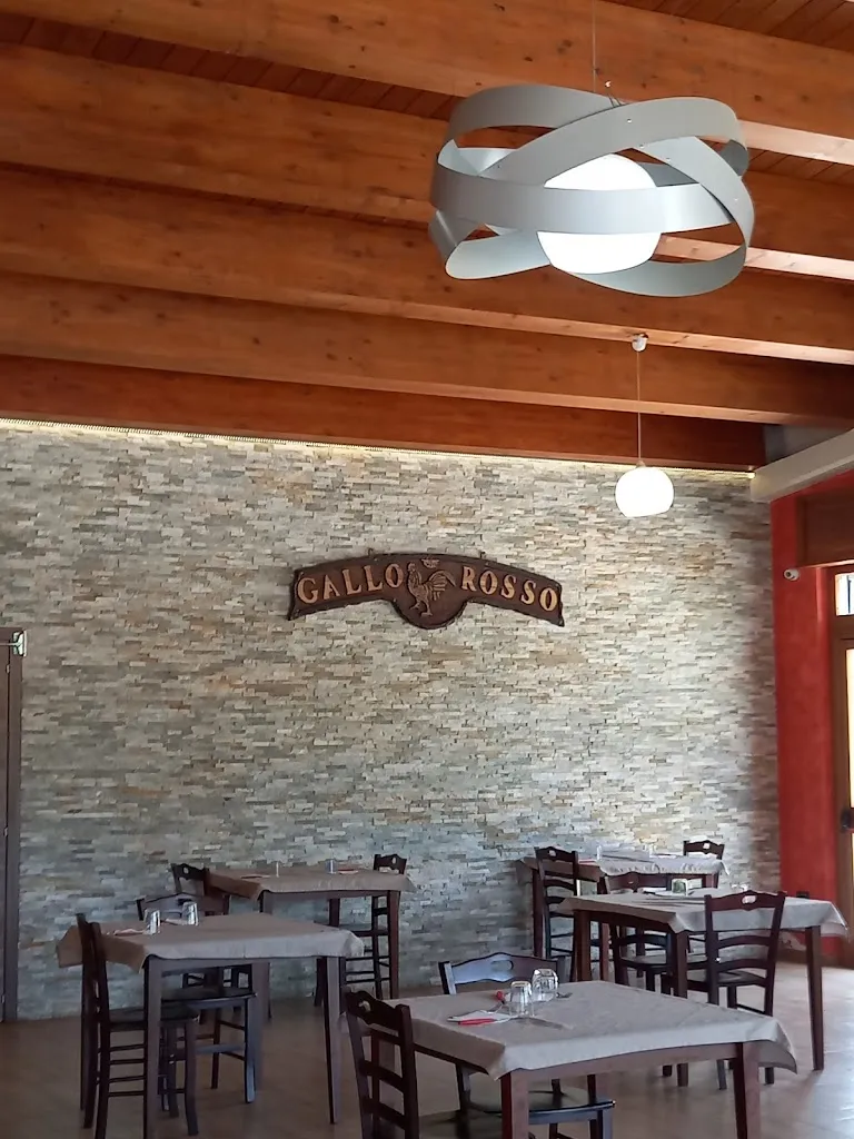 Vincenzo De Leo_Gallo Rosso_Spezzano Albanese_recensione