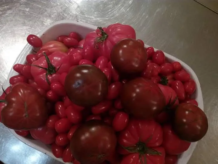 Menu_Storico Ristorante 